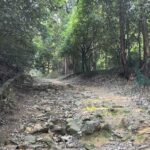 青春18きっぷの一人旅にて日本仏教の聖地として名高い比叡山に初登山