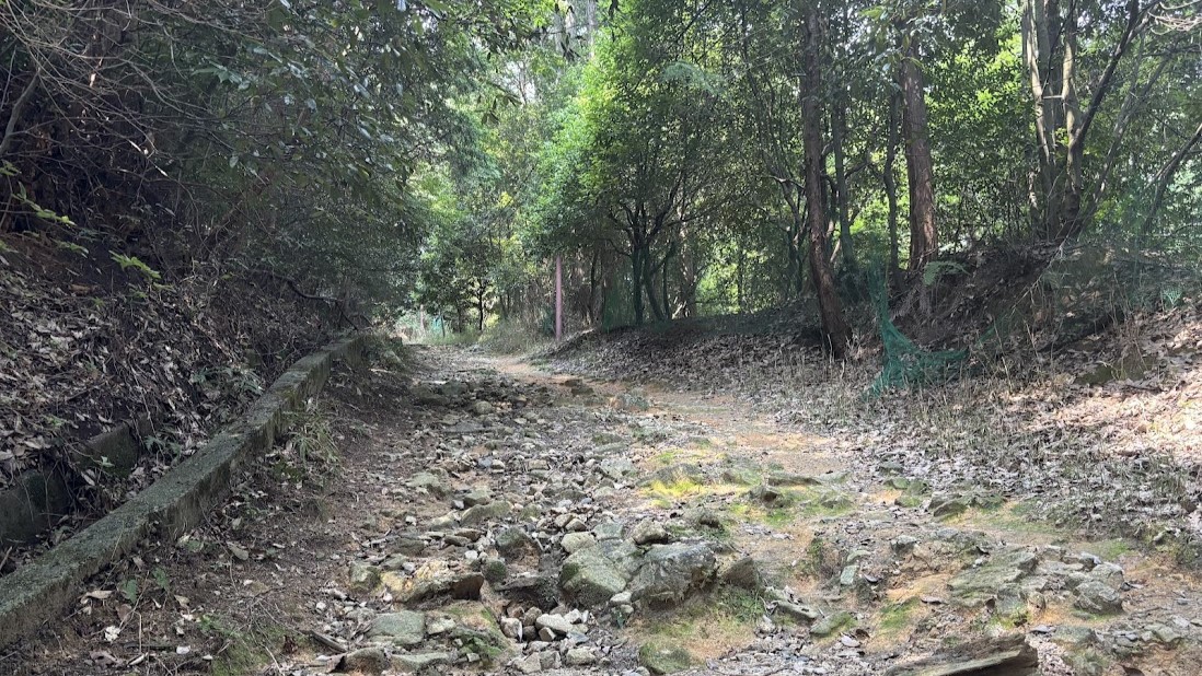 青春18きっぷの一人旅にて日本仏教の聖地として名高い比叡山に初登山