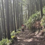 ウォーキングのインストラクターとして熊野古道伊勢路の三浦峠に初挑戦