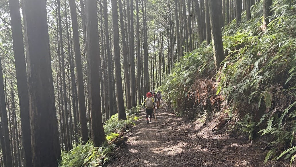 ウォーキングのインストラクターとして熊野古道伊勢路の三浦峠に初挑戦