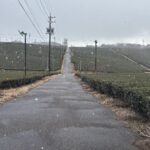 亀山市散策ランを実施している間にジョグペースの底上げを目指そう