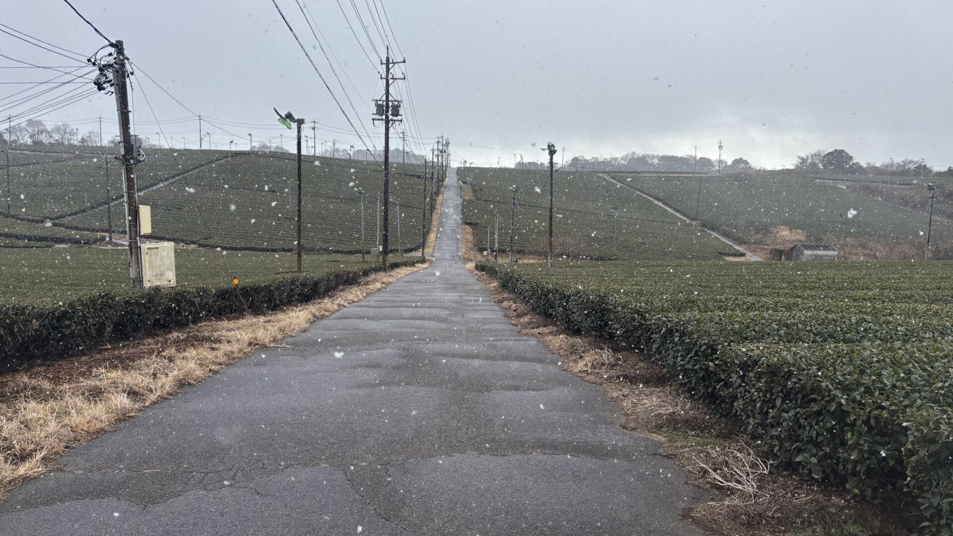 亀山市散策ランを実施している間にジョグペースの底上げを目指そう