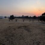 今年こそは富双緑地クロカンで効率よく速く走れるフォームを身に着けよう