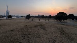 今年こそは富双緑地クロカンで効率よく速く走れるフォームを身に着けよう