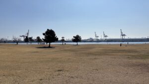 今日より3月という事でとくしまマラソンに向けて故障明けランを再開