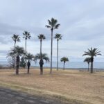 どこか南国情緒漂う三重県最南端・紀宝町や御浜町にウォークがらみで初訪問