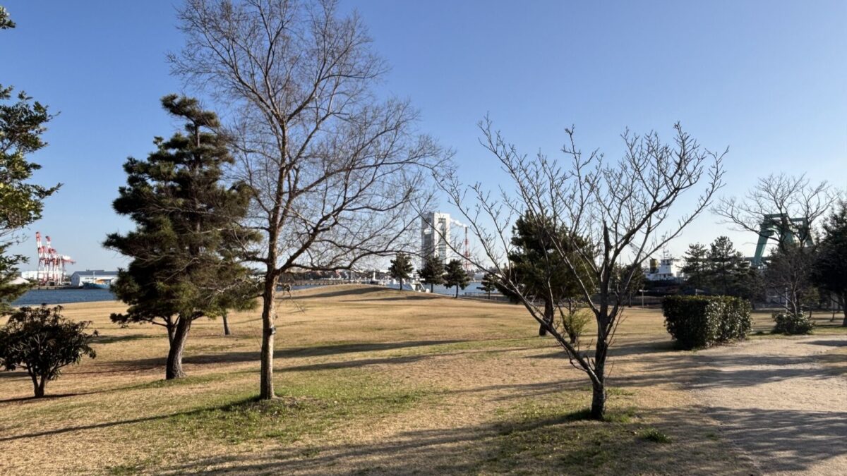 とくしまマラソンまで残り1週間という事で最後の悪あがき富双・伊坂ダムラン