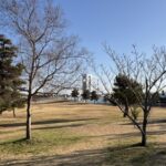 とくしまマラソンまで残り1週間という事で最後の悪あがき富双・伊坂ダムラン