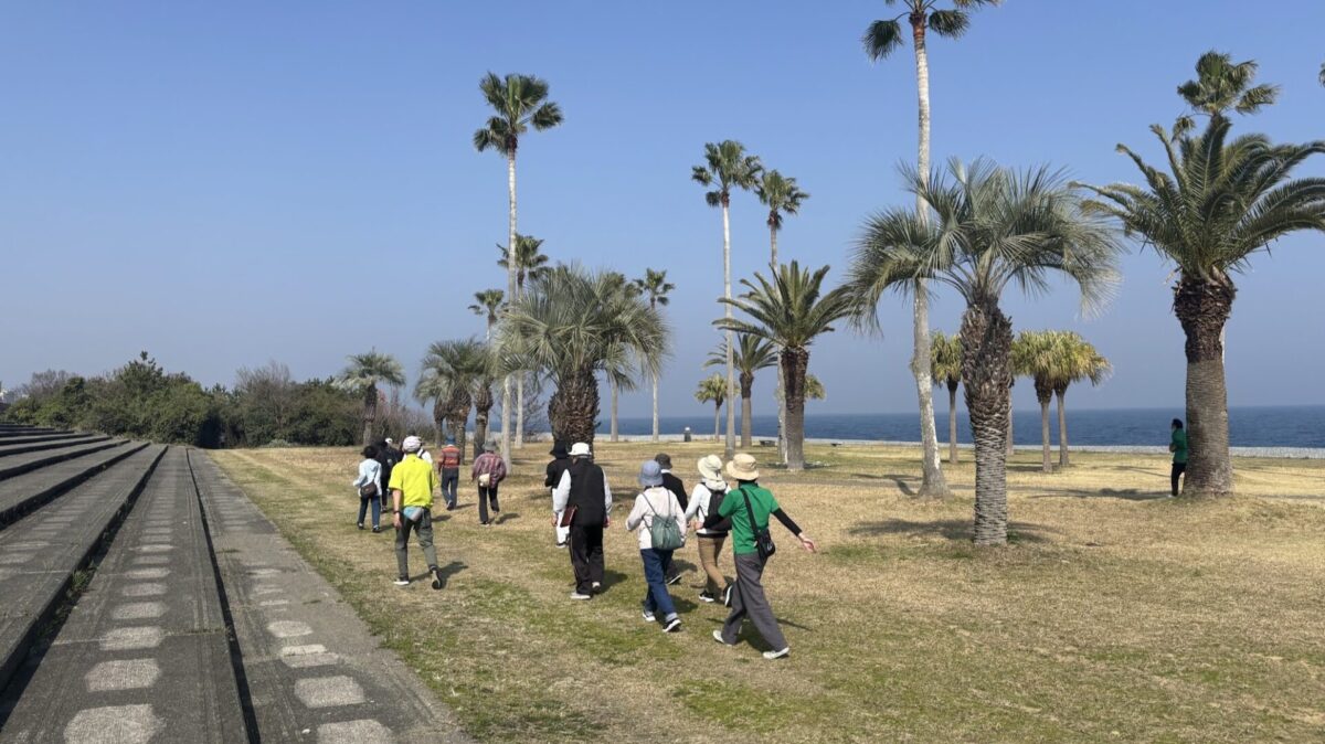 今年度最後の三重県ウオーキング協会指導者派遣は南国情緒ただよう御浜町