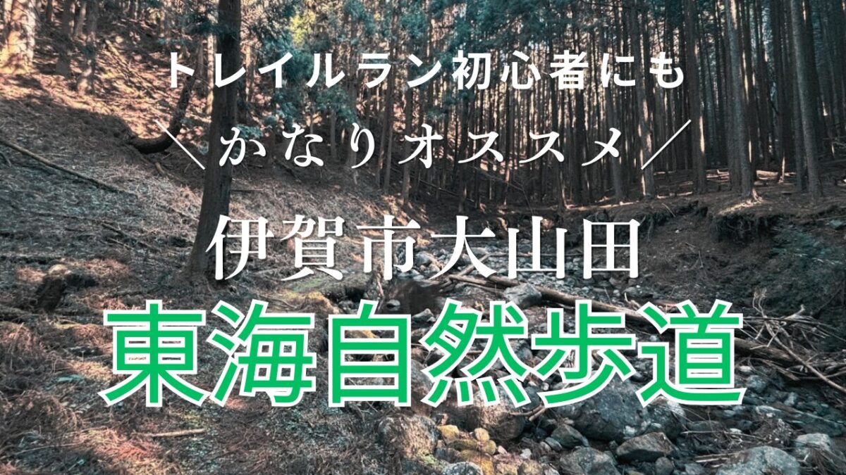 さるびの温泉周辺＋東海自然歩道トレイルにてただただ楽しくリハビリラン