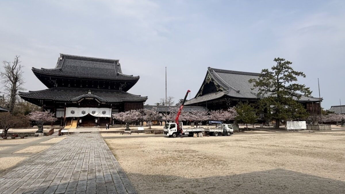 ウォークイベントの下見もかねて津駅→専修寺参拝→近鉄高田本山ランを実施