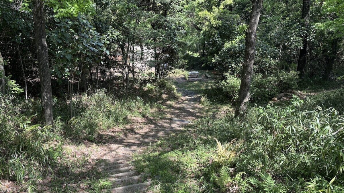 肉離れも治ってきつつあるため南部丘陵超スロークロカンよりランを再開