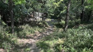 肉離れも治ってきつつあるため南部丘陵超スロークロカンよりランを再開