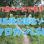 かなりゆっくり走ったはずの南部丘陵公園クロカンLSD終了後はまさかの血〇