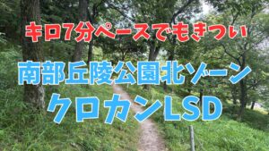 かなりゆっくり走ったはずの南部丘陵公園クロカンLSD終了後はまさかの血〇