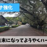 伊坂ダムにてリハビリジョグのつもりがまさかの21㎞の走り込み練習に