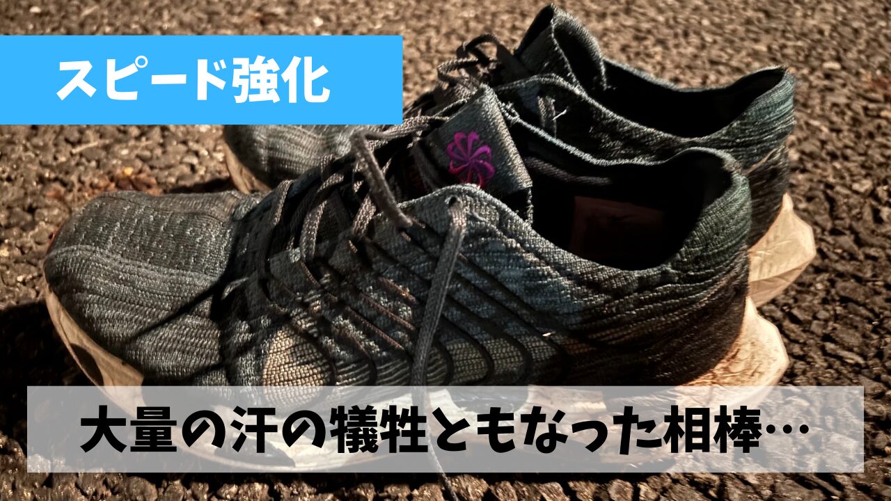 夏場の練習の大半を支えてくれたペガサスターボのおかげで今年の夏はノー故障