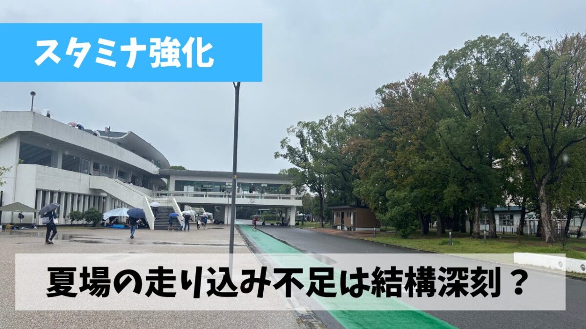 中央緑地公園トリムコースにて今度こそ30㎞走の予定がいつものごとく…