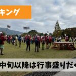 11月中旬以降の週末はウォーキング関連行事でお腹いっぱいになりそうな気配