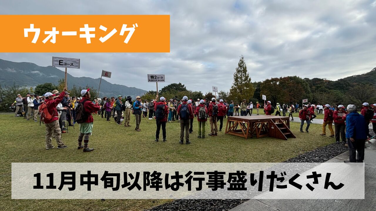 11月中旬以降の週末はウォーキング関連行事でお腹いっぱいになりそうな気配
