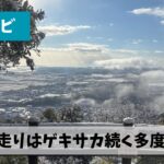 2026年の初走りはゲキサカ続く多度山峠走と毎年恒例の多度大社参拝から