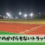 お腹の脂肪をプルプル揺らしながらのトラック練習は当たり前にきついという事で