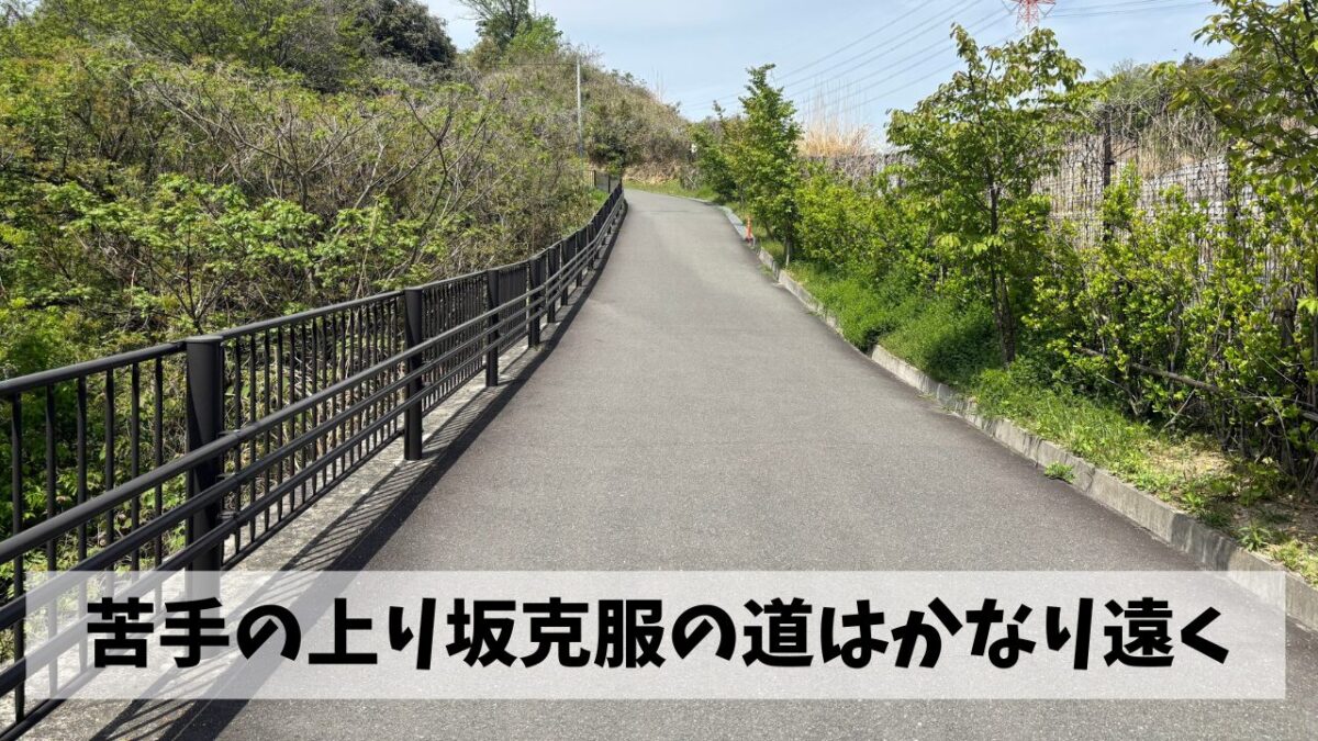 今月2度目の伊坂ダム32㎞ロング走でスタミナの強化ぶりは実感できたものの…