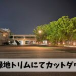 10年以上ぶりに結構本気で実施した5㎞＋3㎞＋1㎞のカットダウン走の結果は…
