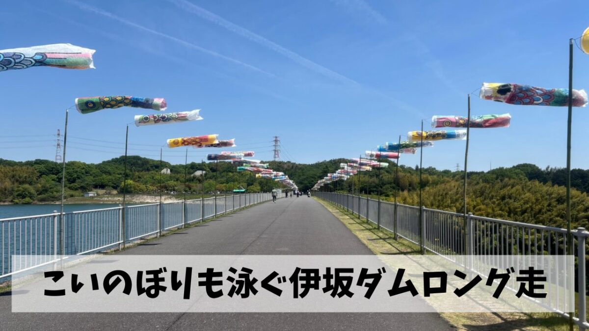 こいのぼりも空を泳ぐ伊坂ダムにてゴールデンウィーク最初の走り込みを実施