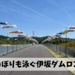 こいのぼりも空を泳ぐ伊坂ダムにてゴールデンウィーク最初の走り込みを実施