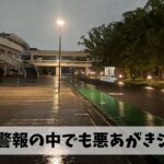 100㎞マラソンのレースペースに慣らすため暴風警報の中でもキロ6分ペースジョグ