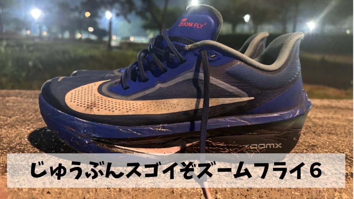 予想以上に快適に走れたという事でこの夏のスピード練習はズームフライ６とともに