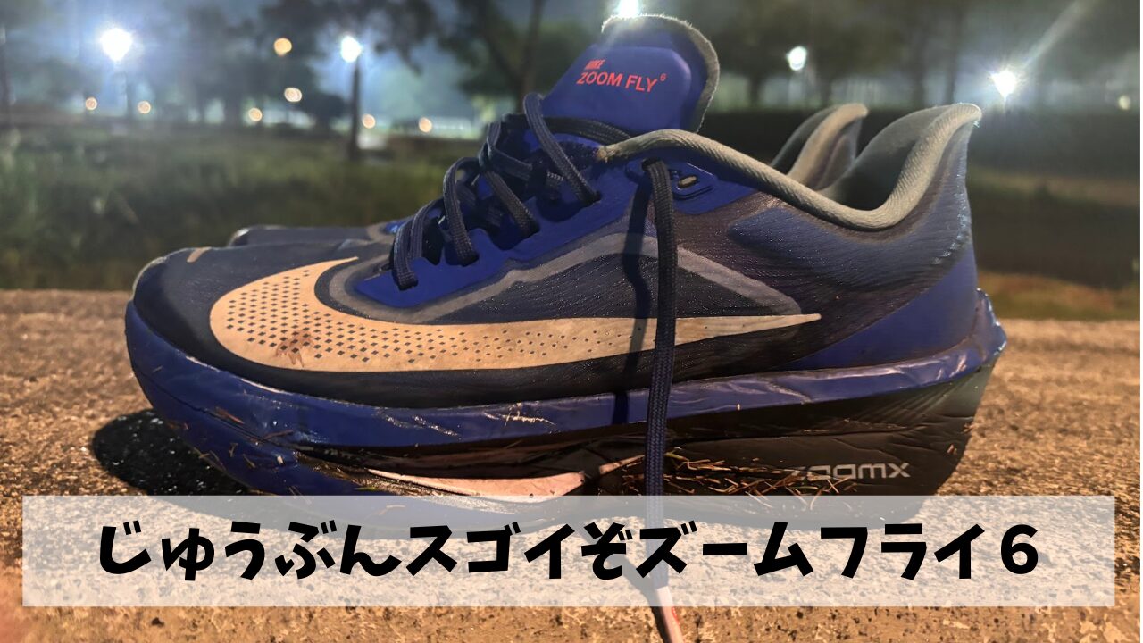 予想以上に快適に走れたという事でこの夏のスピード練習はズームフライ６とともに