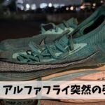 今年の夏場のスピード練習はアルファフライで乗り切るつもりだったはずが…