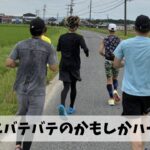 いよいよやってきた大の苦手な猛暑を乗り切る術を今年こそは習得しよう