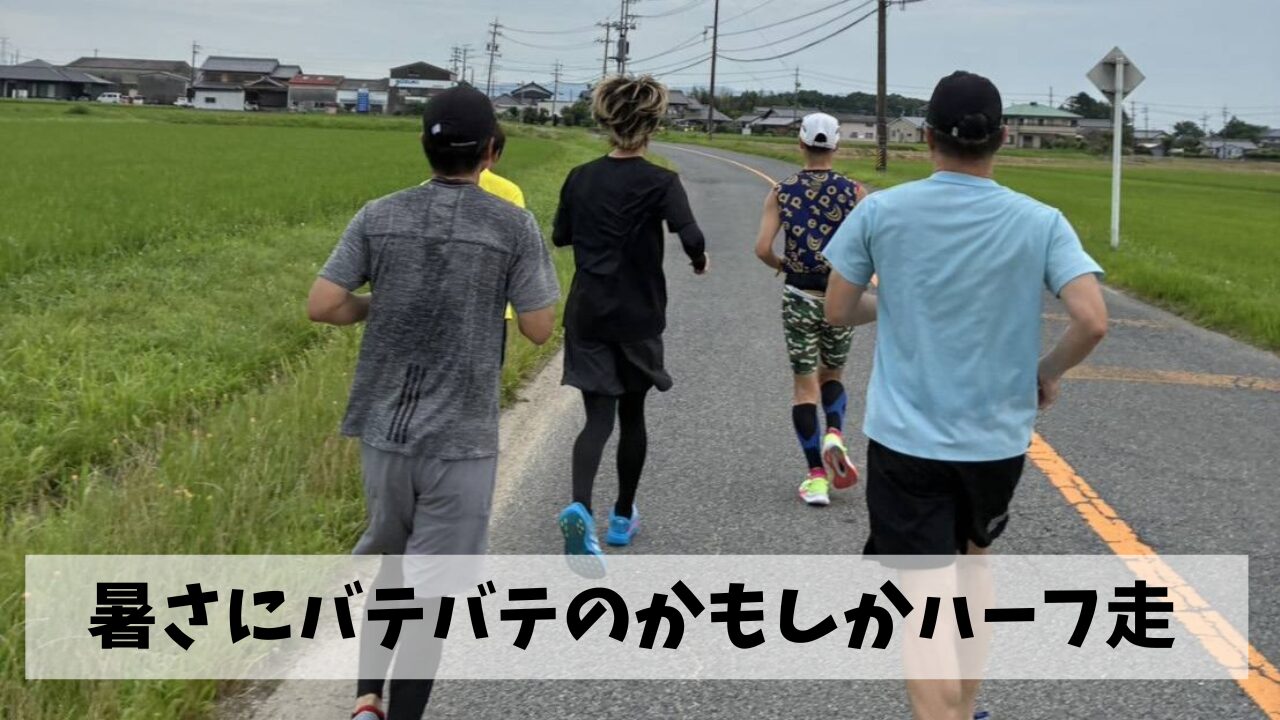 いよいよやってきた大の苦手な猛暑を乗り切る術を今年こそは習得しよう