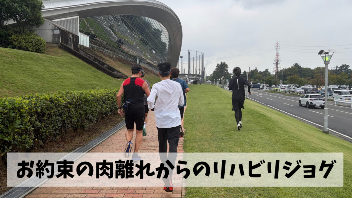 またしてもの肉離れにより2週間近くノーラン状態からリハビリジョグを再開